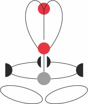 Привязь страховочная GT FIXE | CAMP