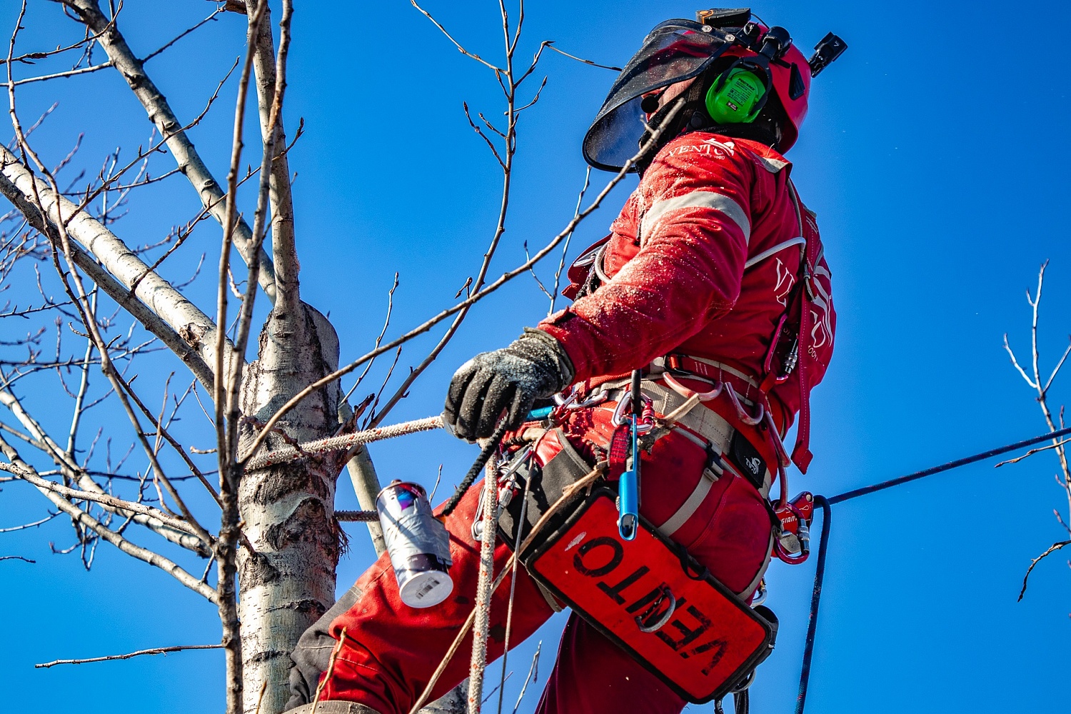 Привязь Профи Пихта | Vento