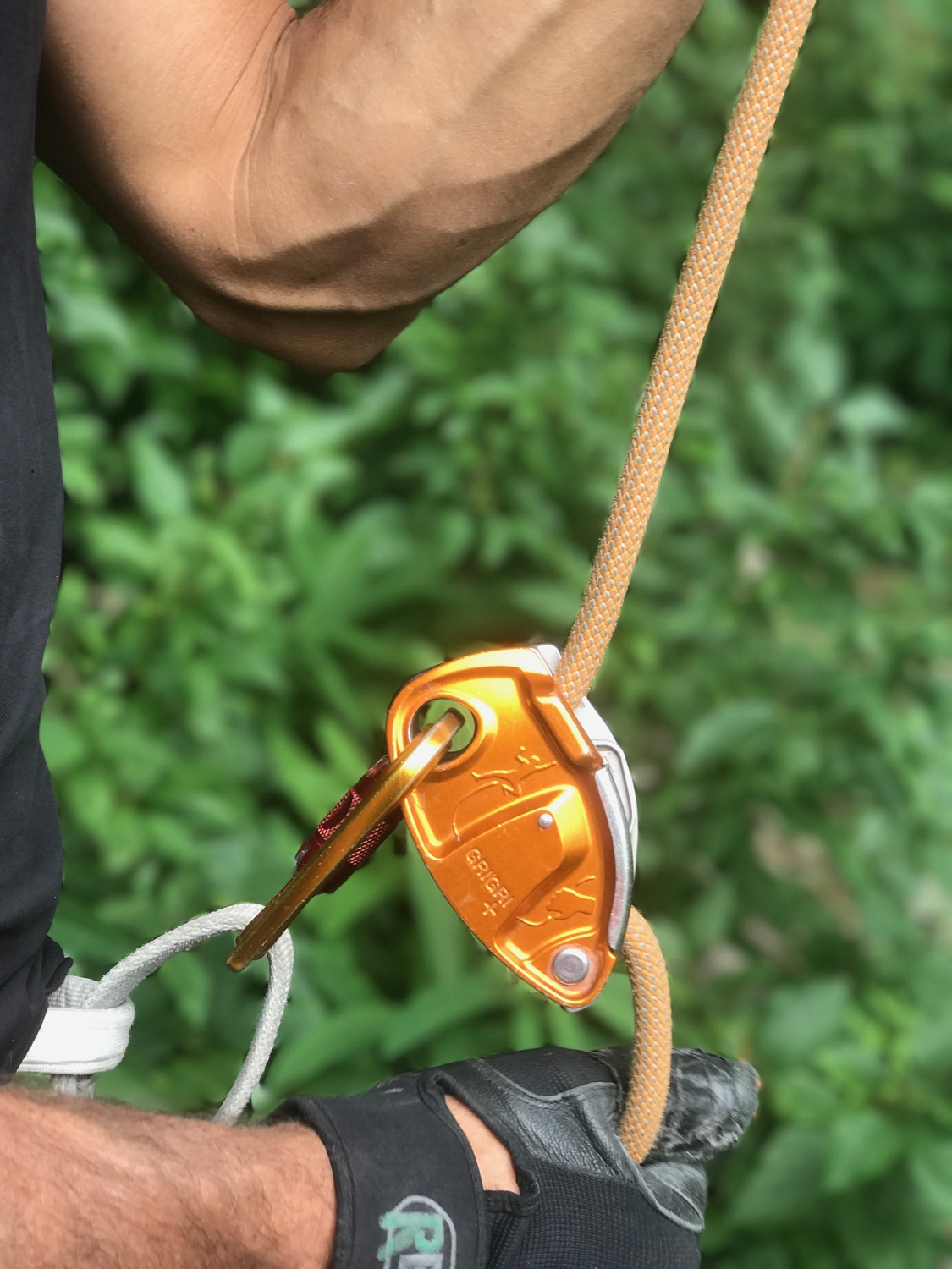 Страховочно-спусковое устройство GRIGRI + | Petzl